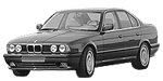 BMW E34 P0C87 Fault Code